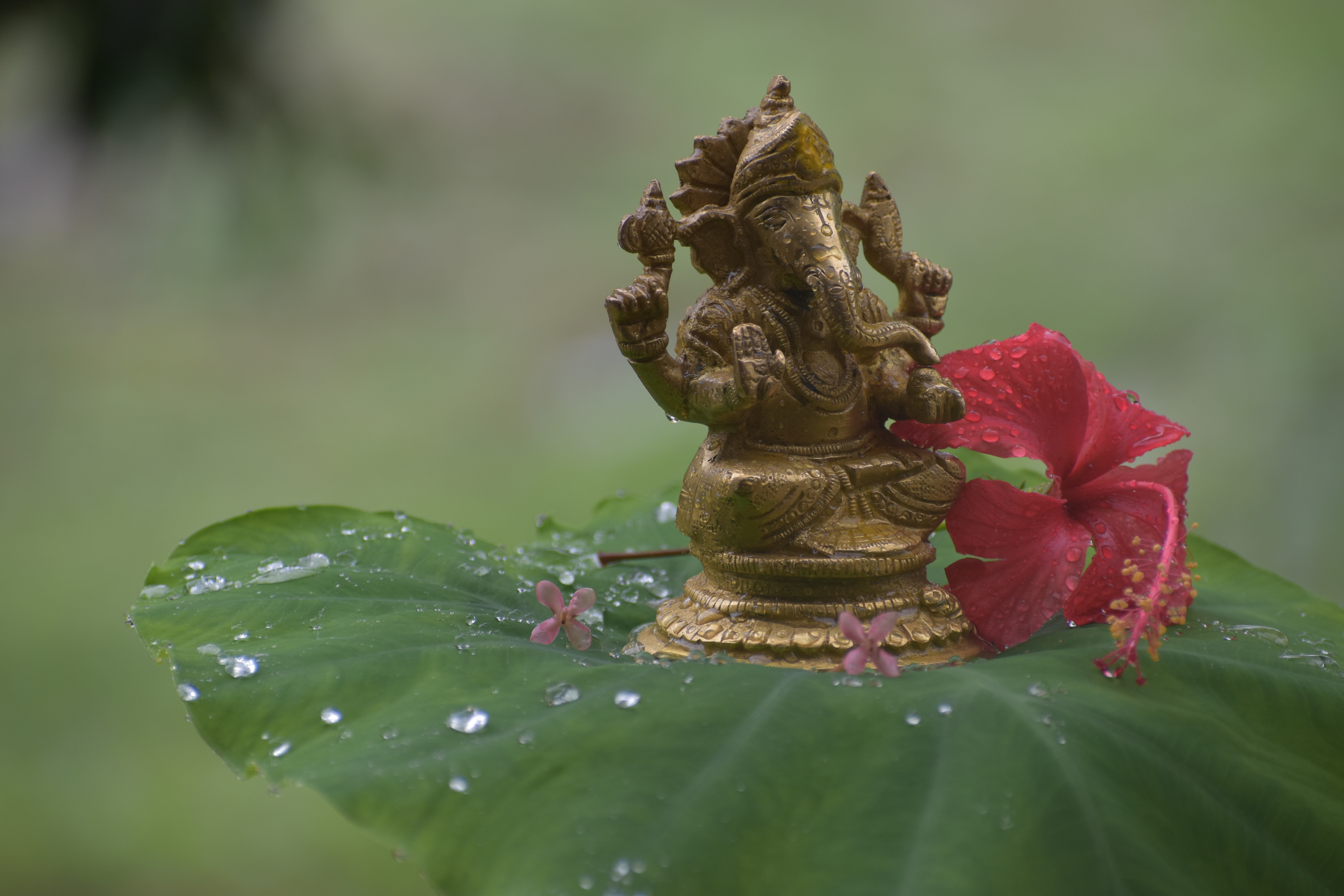 Initiation aux soins de bénédiction de Ganesh